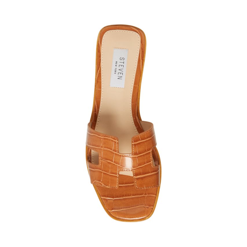 Brown Steve Madden Hadyn Women's Slides | PH 0754UVL